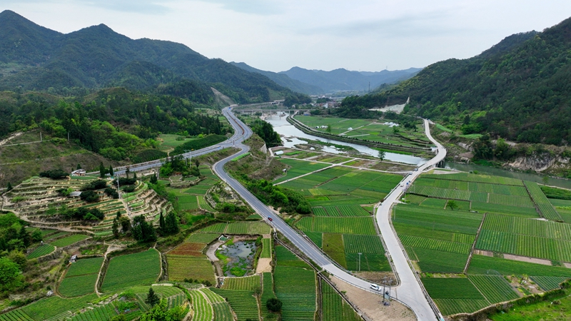 浙農(nóng)浙貝母、杭白菊基地通過(guò)中藥材GAP延伸檢查