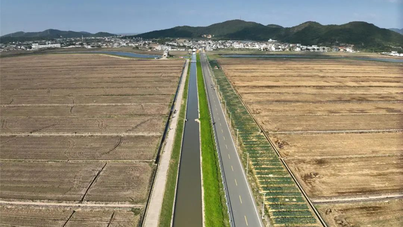 鹽堿地蝶變豐產田！浙農科技岱山項目打造“未來生態(tài)農場”